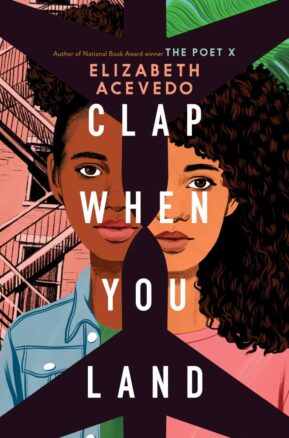 Book Summary Clap When You Land