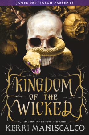 Book Summary Kingdom of the Wicked
