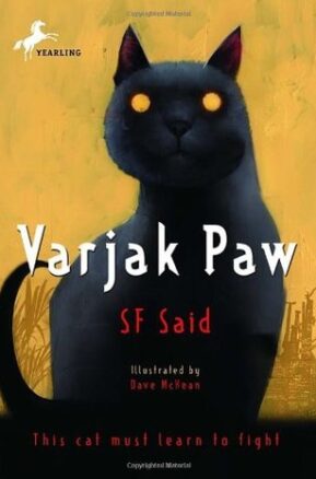 Book Summary Varjak Paw