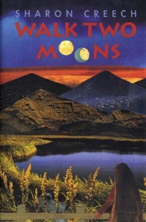 Book Summary Walk Two Moons