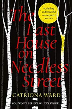 Book Summary The Last House on Needless Street