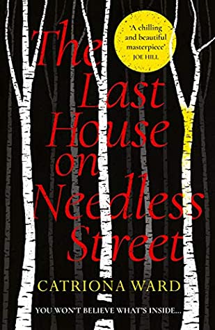 Book Summary The Last House on Needless Street
