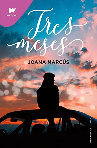 Book Summary Tres meses