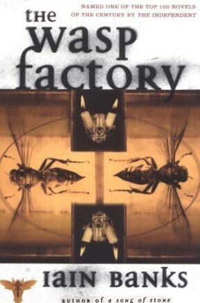 Book Summary The Wasp Factory