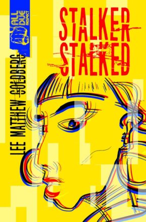Book Summary Stalker Stalked