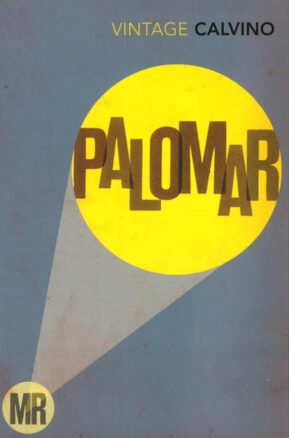 Book Summary Mr.Palomar