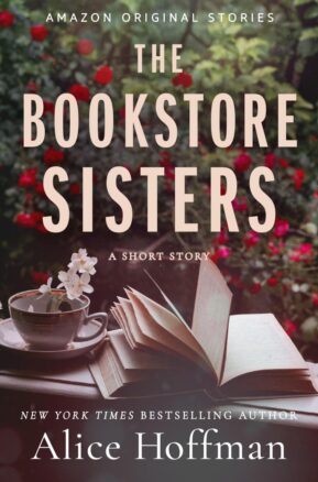 Book Summary The Bookstore Sisters