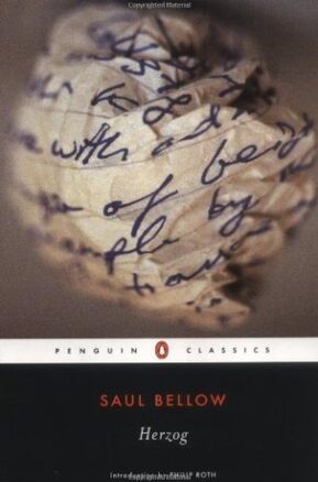Book Summary Herzog