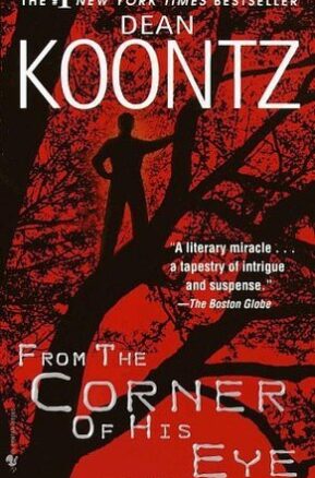 Book Summary From the Corner of His Eye