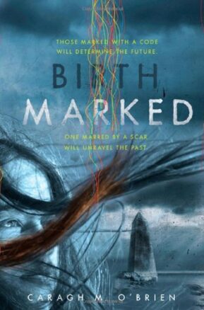 Book Summary Birthmarked