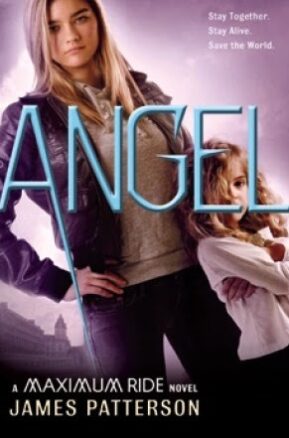 Book Summary Angel
