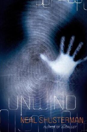 Book Summary Unwind