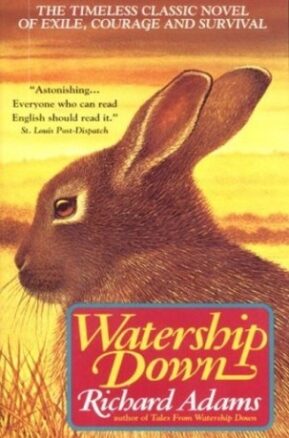 Book Summary Watership Down