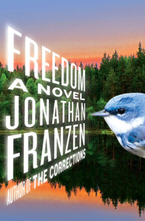 Book Summary Freedom