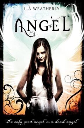 Book Summary Angel