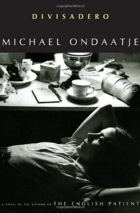 Book Summary Divisadero