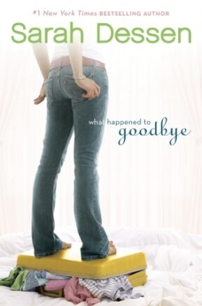 Book Summary What Happened to Goodbye