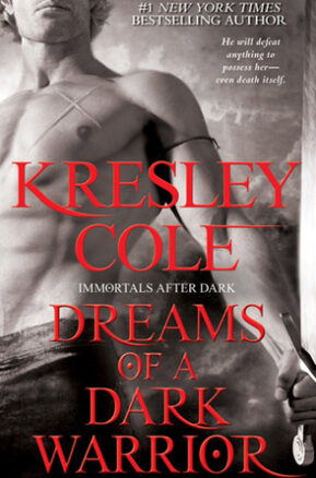 Book Summary Dreams of a Dark Warrior