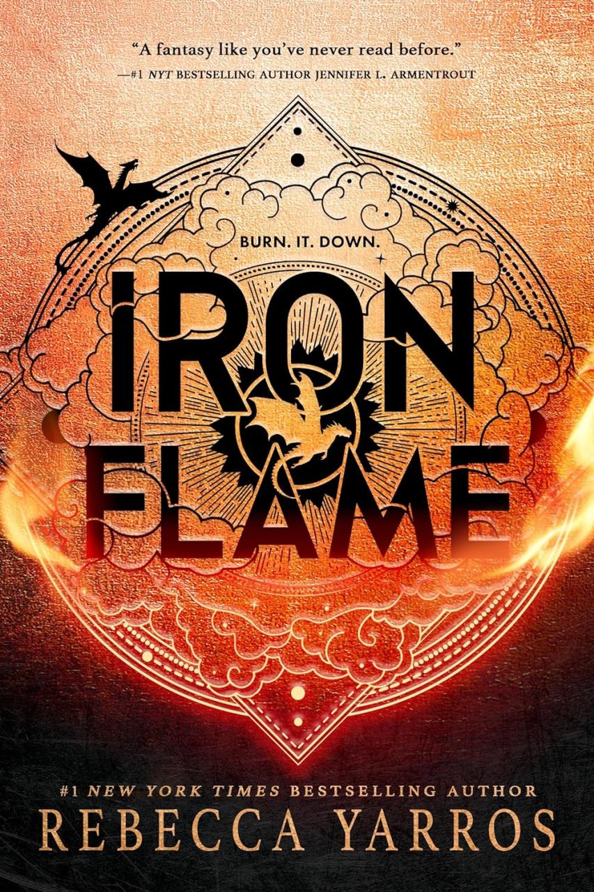 Book Summary Iron Flame