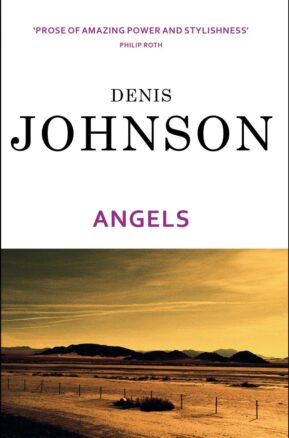 Book Summary Angels