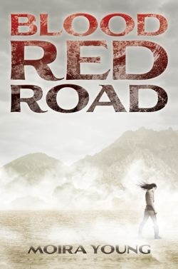 Book Summary Blood Red Road