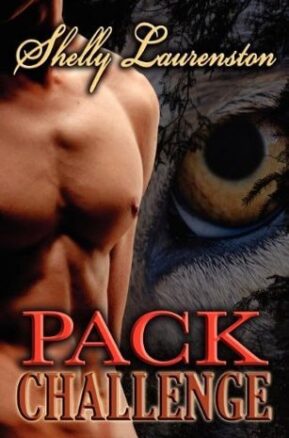 Book Summary Pack Challenge