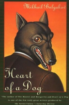 Book Summary Heart of a Dog