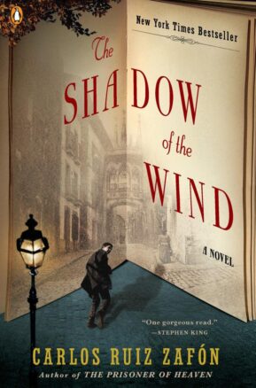 Book Summary The Shadow of the Wind