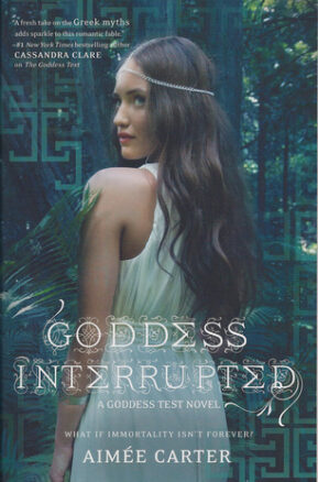 Book Summary Goddess Interrupted