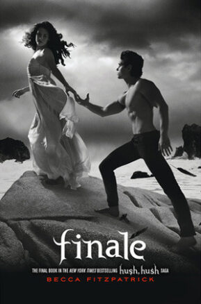 Book Summary Finale