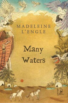 Book Summary Many Waters