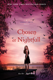 Book Summary Chosen at Nightfall