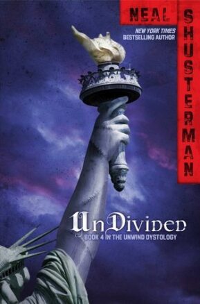 Book Summary UnDivided