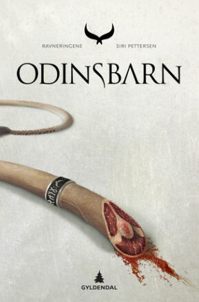 Book Summary Odinsbarn