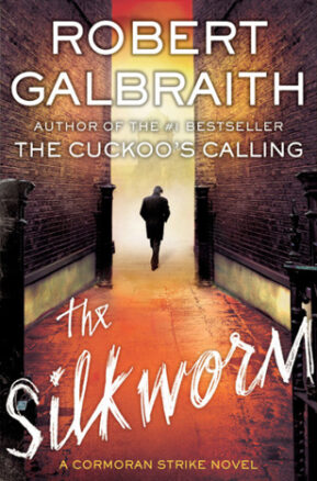 Book Summary The Silkworm
