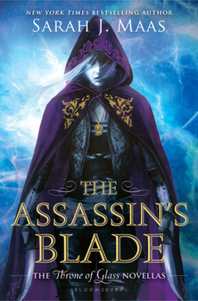 Book Summary The Assassin's Blade