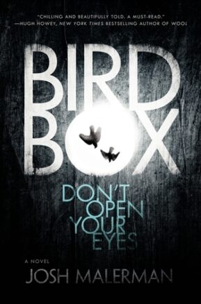 Book Summary Bird Box
