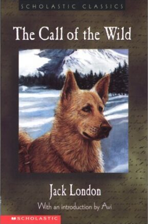 Book Summary The Call of the Wild