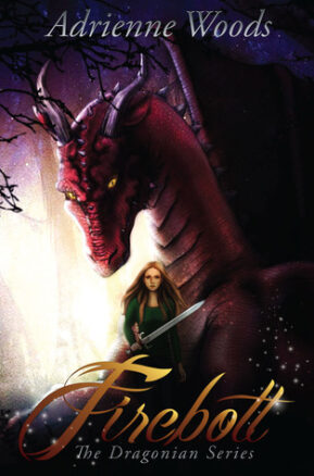Book Summary Firebolt