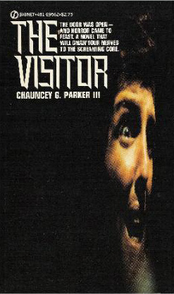 Book Summary The Visitor