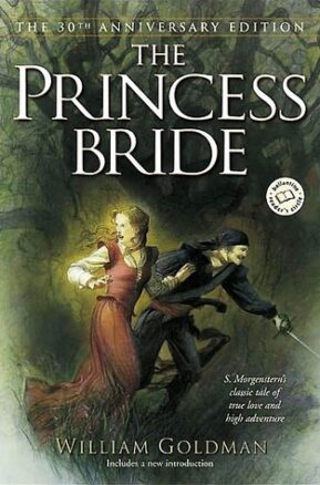 Book Summary The Princess Bride