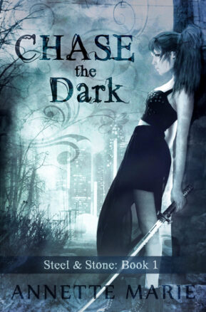 Book Summary Chase the Dark
