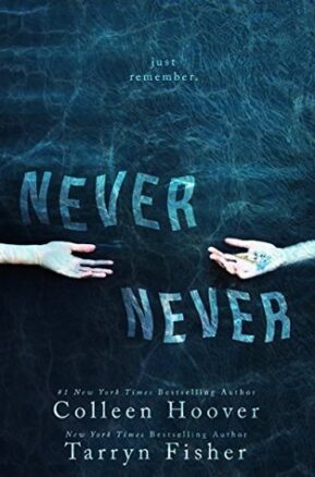 Book Summary Never Never