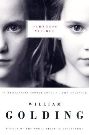 Book Summary Darkness Visible