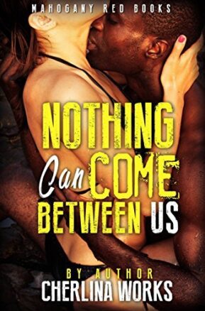 Book Summary Nothing Can Come Between Us