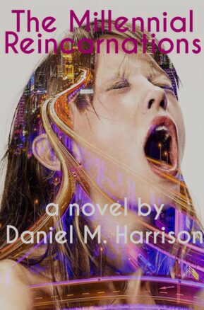 Book Summary The Millennial Reincarnations