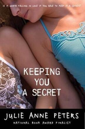 Book Summary Keeping You a Secret