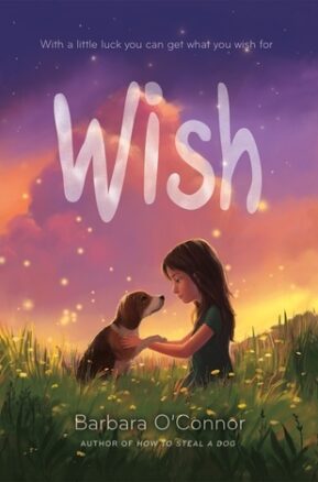 Book Summary Wish