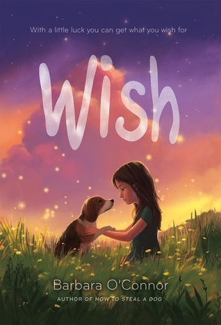 Book Summary Wish