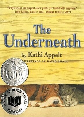 Book Summary The Underneath
